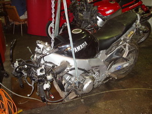 �������������� ���� Yamaha