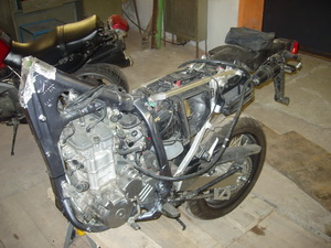 �������������� ���� Suzuki